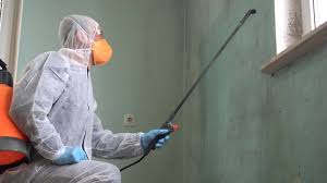 Biohazard Mold Removal in Port Oconnor, TX