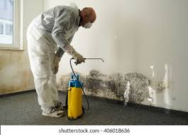 Port Oconnor, TX Mold Prevention & Removal  Company